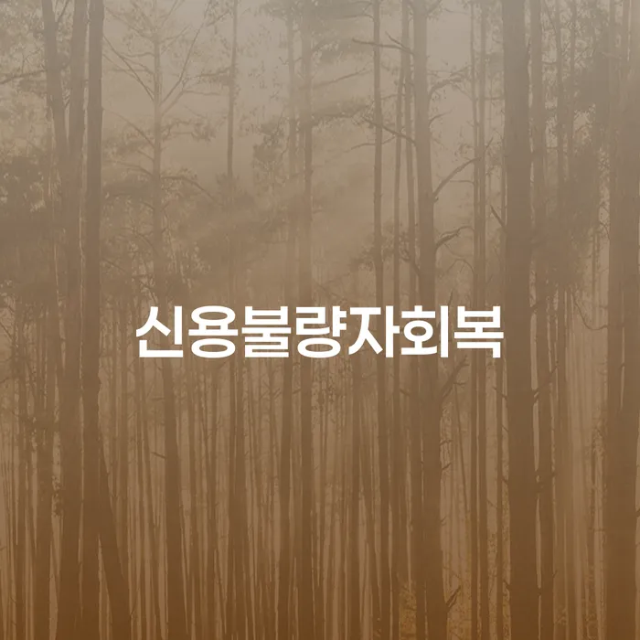 개인회생 절차 개인회생으로 방법 관한건