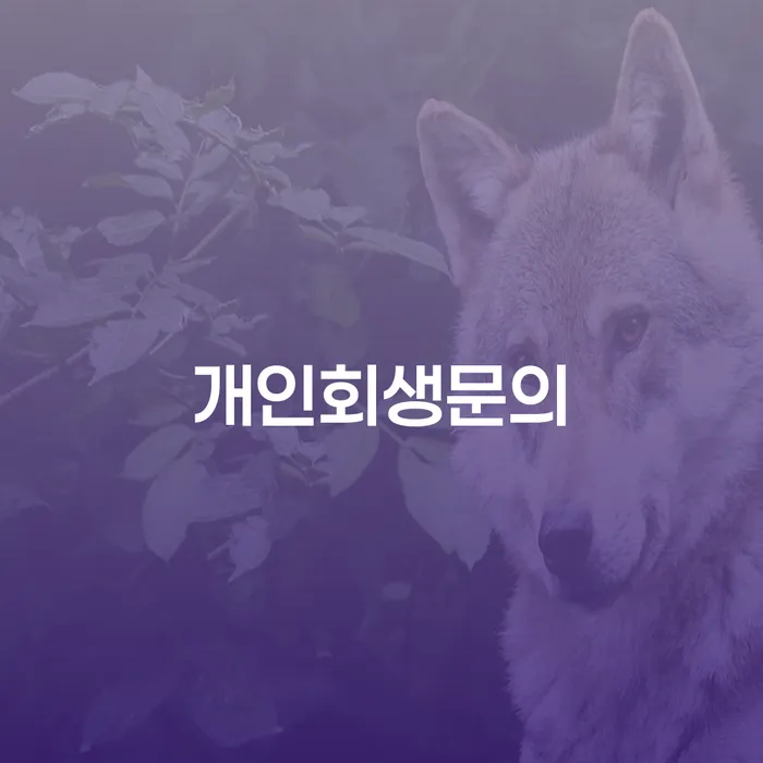 개인회생 기간 개인회생 제도 신청장점