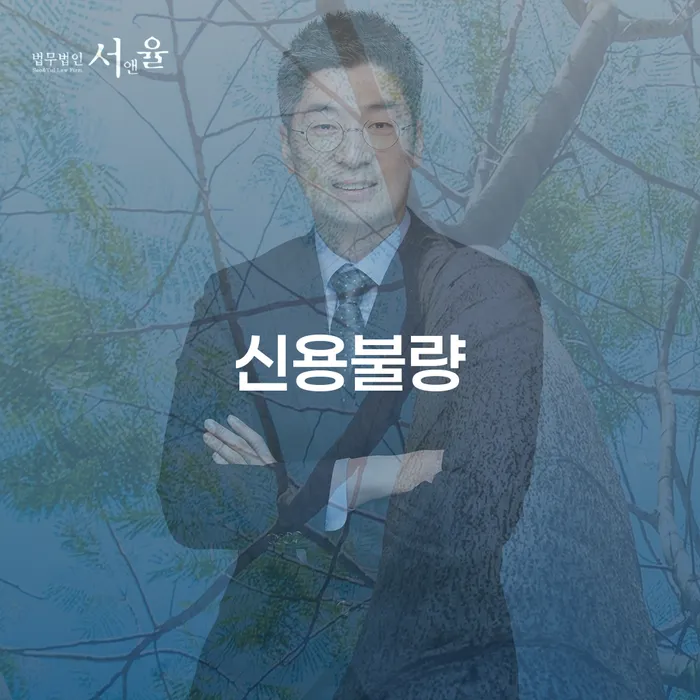 개인회생특별면책 추심 대응법 확실한 진행