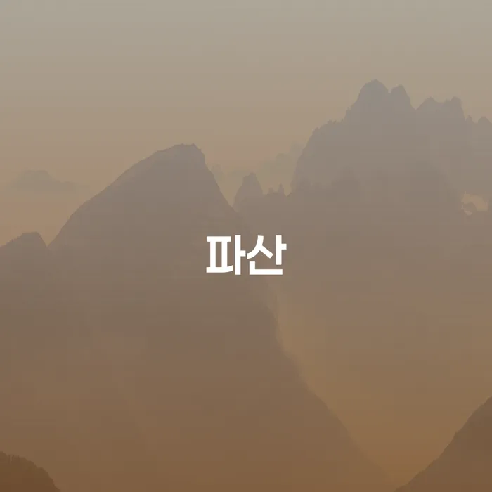 개인회생 자격 채무조정제도을 이용하여 성공은