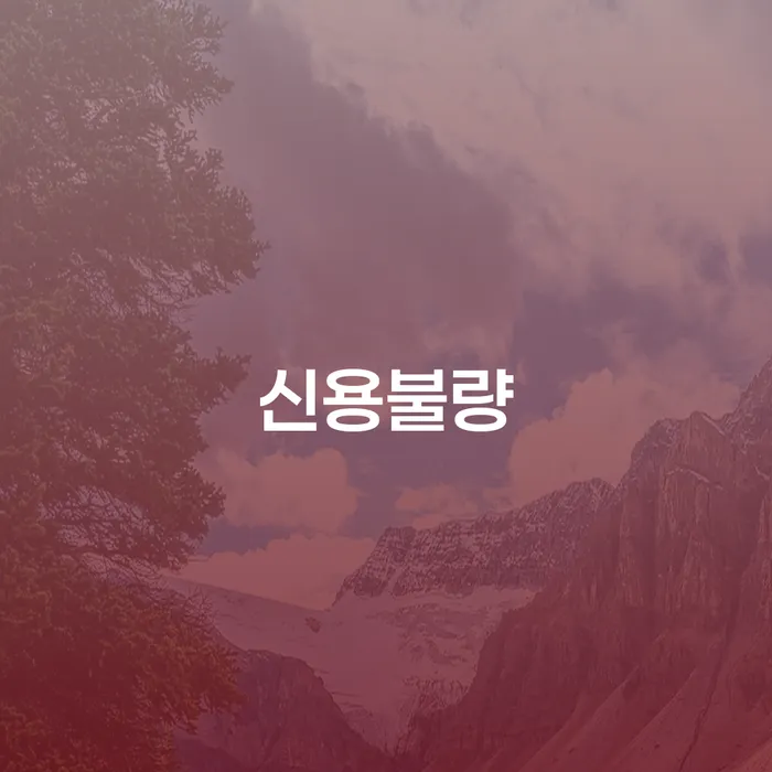 신용카드 연체시 개인회생으로 해결 잘신청하기