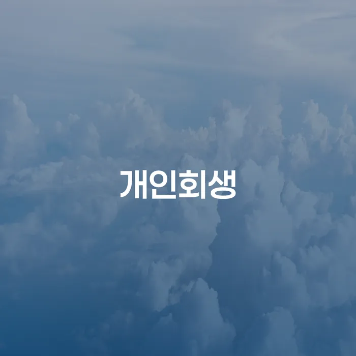 개인회생자동차 처리 연체 채무 신속해결방법 잘 하는 법무법인