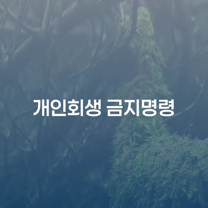 양산시 개인회생 분납 가능한 추심 대응법 잘하는 방법은
