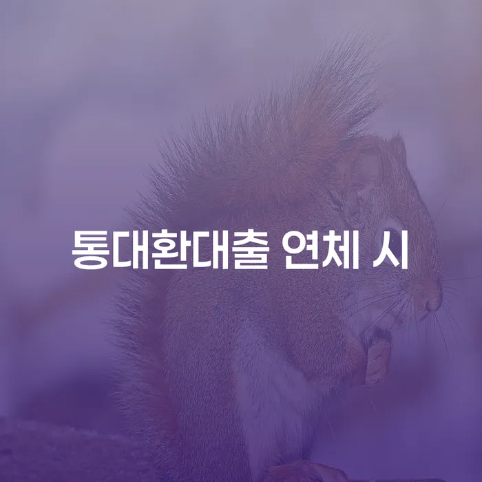 영동군 채무조정제도 개인회생,개인파산으로 절차 이해해야