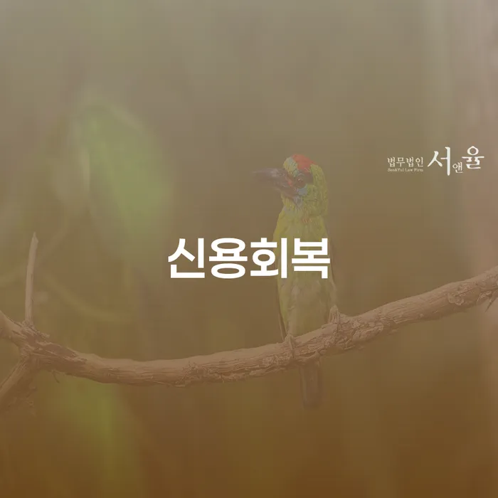 포천시 재회생 대출 받은 돈채무조정 해결 가능합니다.