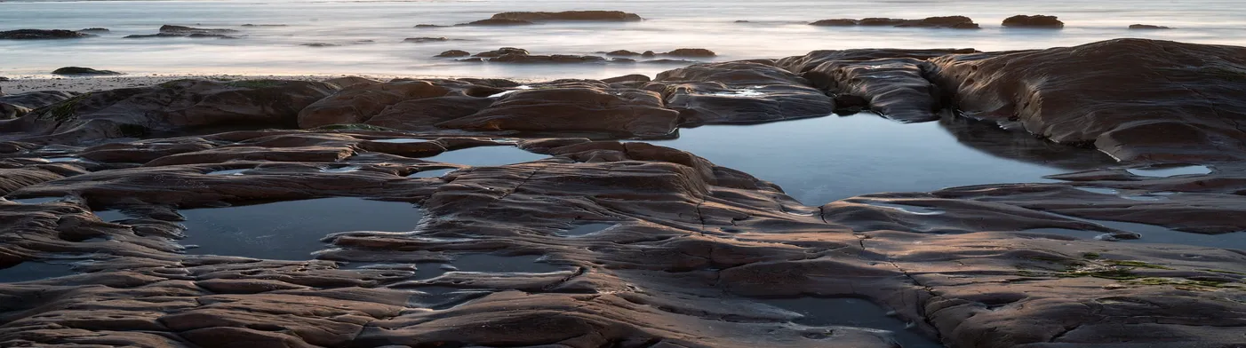 법무법인 서앤율