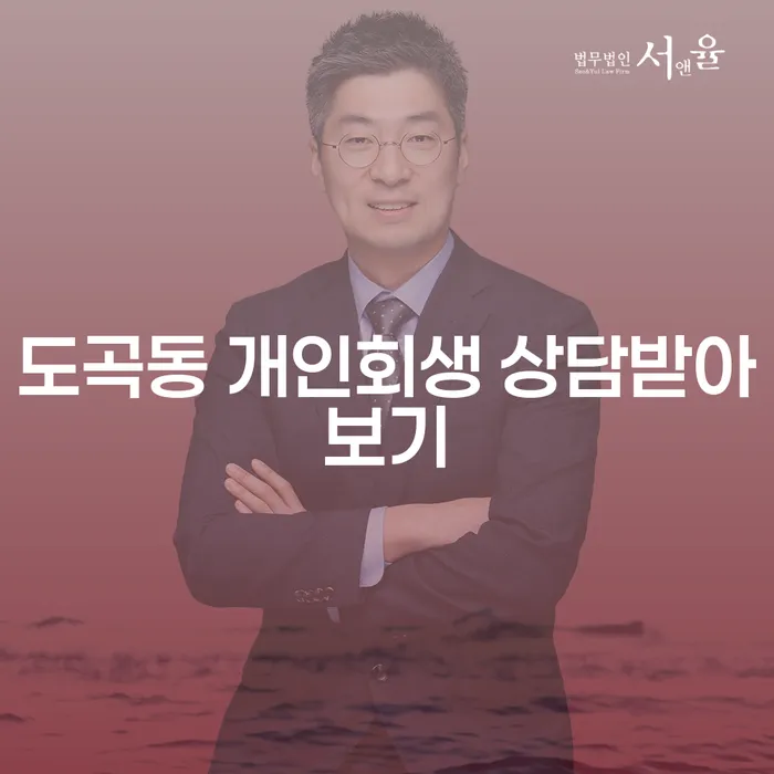 도곡동 개인회생 상담받아보기