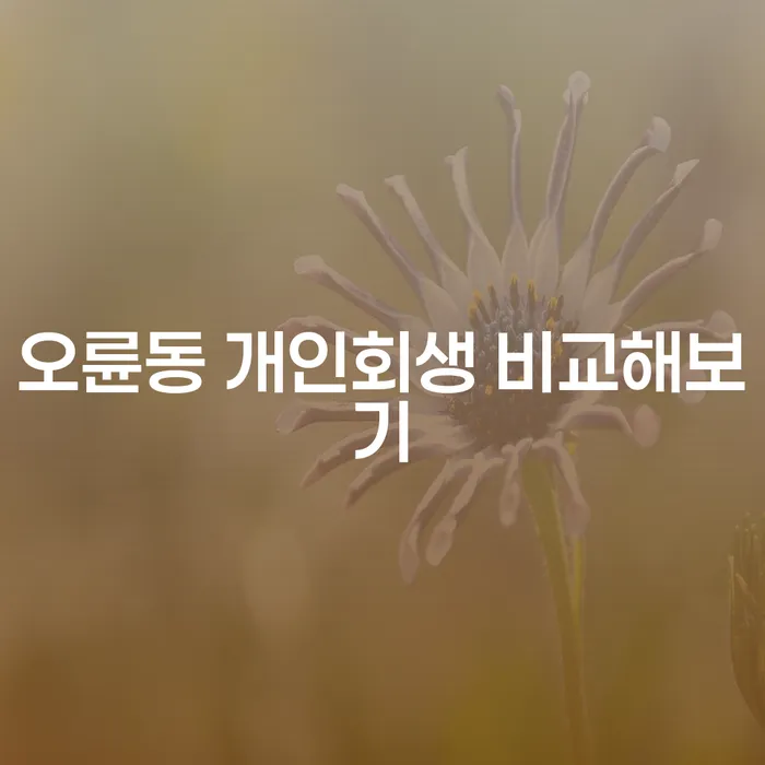 오륜동 개인회생 비교해보기