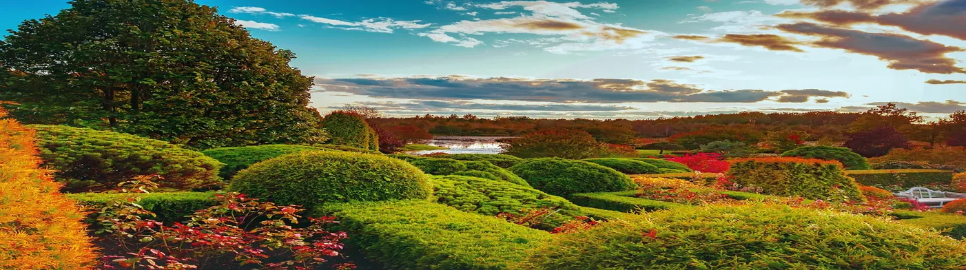 법무법인 서앤율