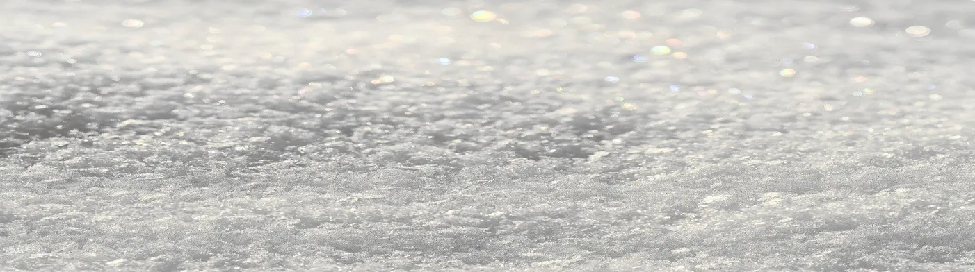 법무법인 서앤율