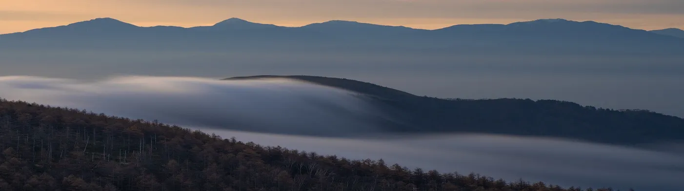 법무법인 서앤율