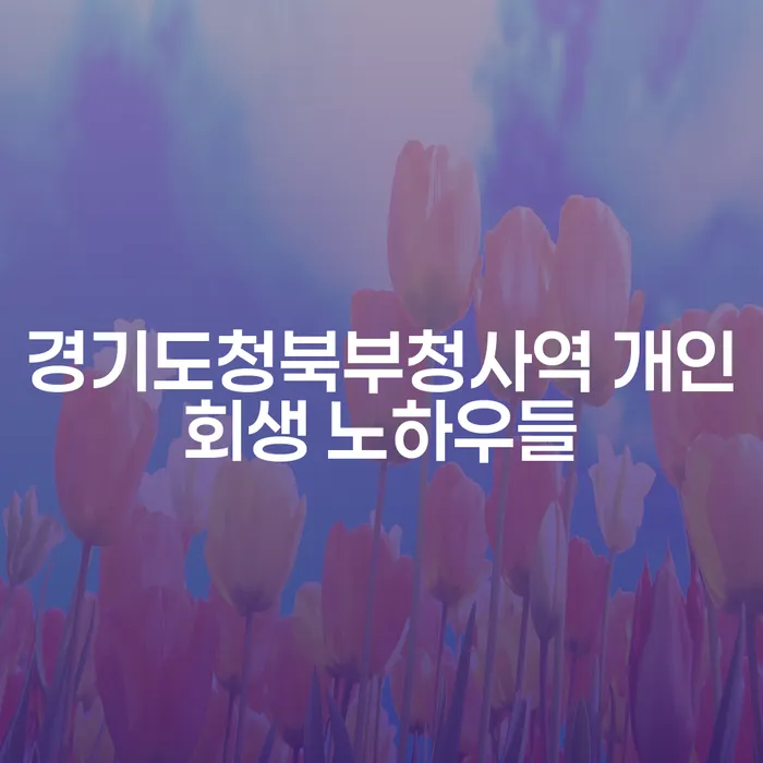 경기도청북부청사역 개인회생 노하우들