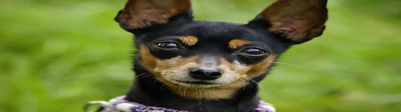 법무법인 서앤율