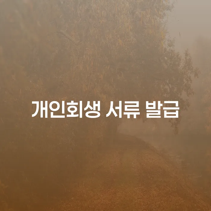 개인회생 서류 발급은 어떻게 시작해야 할까요?