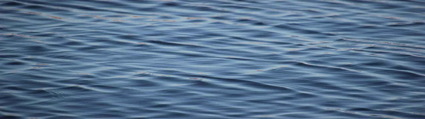 법무법인 서앤율