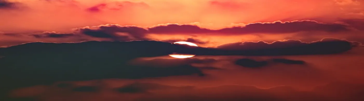 법무법인 서앤율