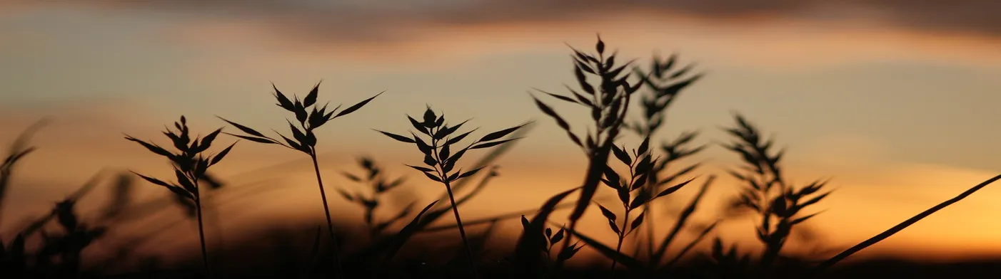 법무법인 서앤율