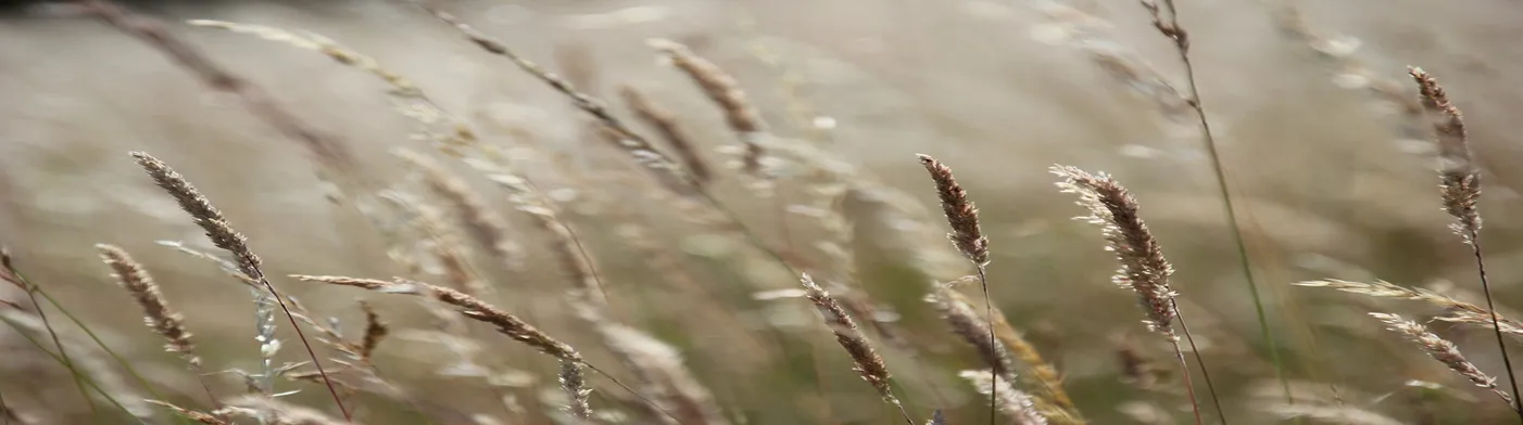 법무법인 서앤율