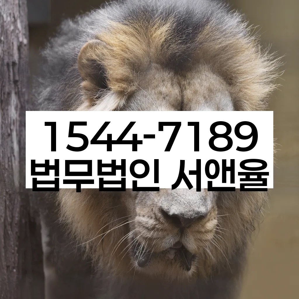전문가의 도움